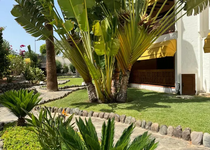 Canario Dunes プラヤ・デル・イングレス