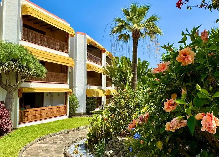 Canario Dunes Lejlighed *